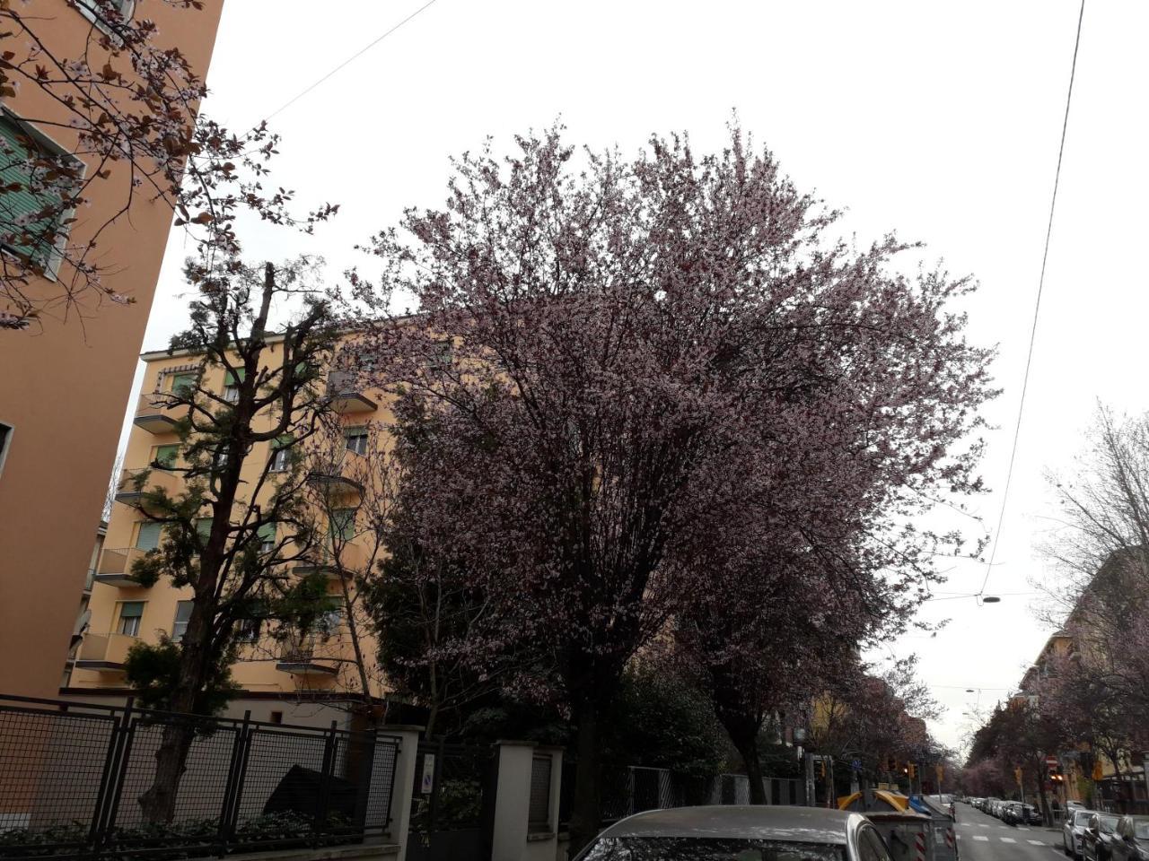Sant'Orsola Bologna Appartamento Bagian luar foto